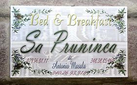 Sa Pruninca
