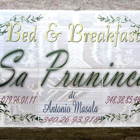 Bed and Breakfast Sa Pruninca à Villanova Monteleone Extérieur photo